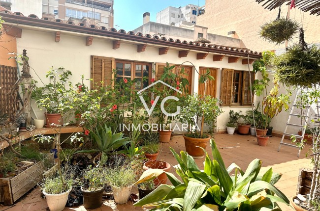 Apartmento / Piso - Venta - Palma - Archiduque