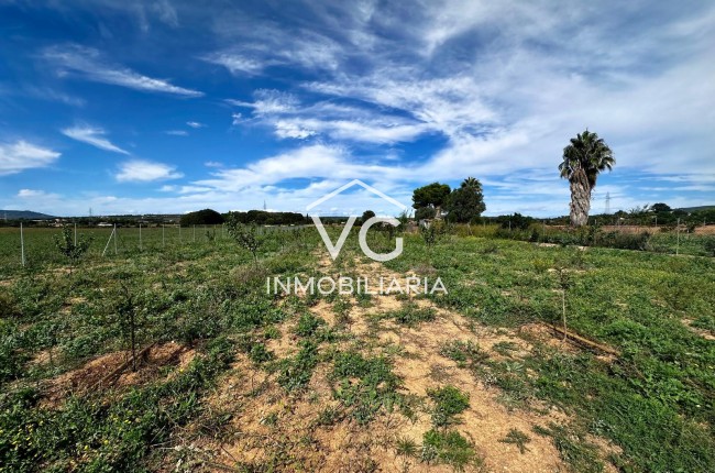 Plot / Land - Resale - Manacor - Manacor