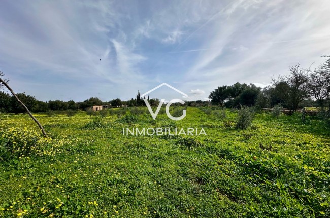 Plot / Land - Resale - Manacor - Manacor