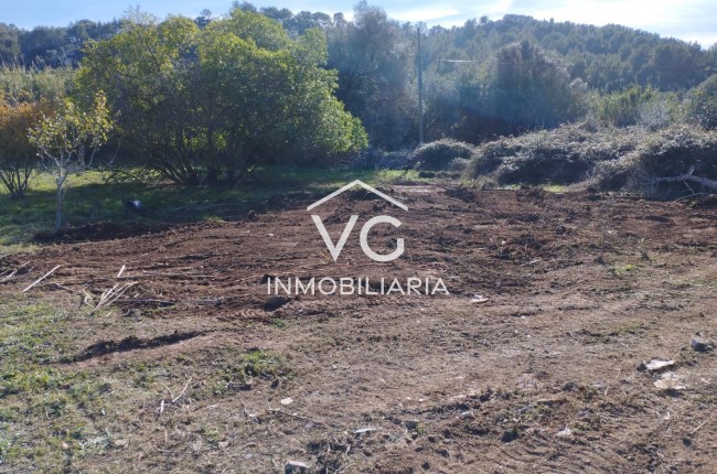 Plot / Land - Resale - Pollensa - Pollensa