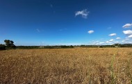 Plot / Land - Sale - Manacor - VG2871
