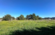 Plot / Land - Sale - Son Servera - VG3032