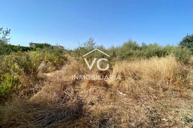 Solar urbano  - Venta - Vilafranca - Vilafranca