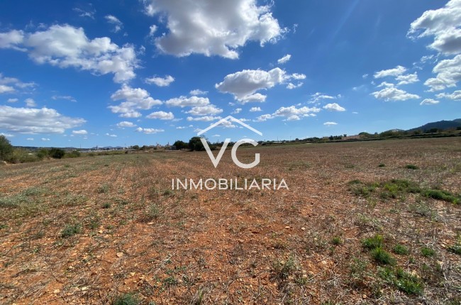 Terreno - Venta - Manacor - Manacor
