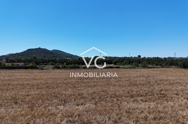 Terreno - Venta - Manacor - Manacor