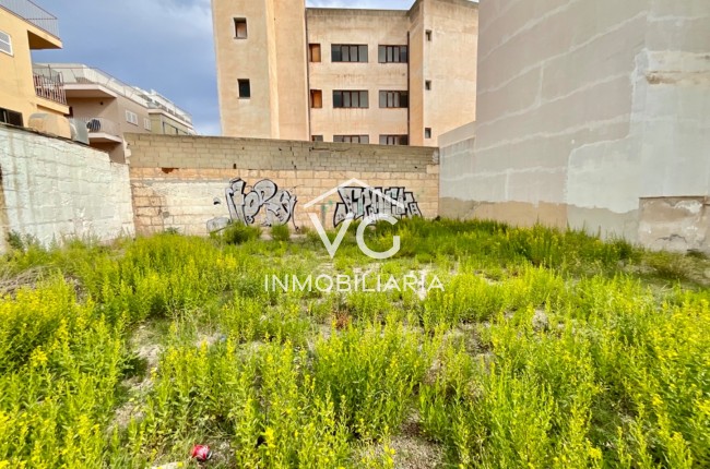 Urban plot  - Sale - Cala Millor - Cala Millor