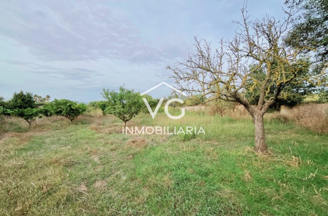 Sale - Vila - Manacor