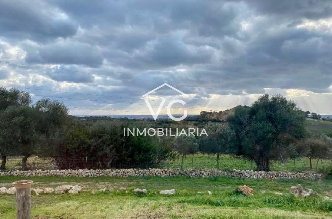 Resale - Plot / Land - Son Servera