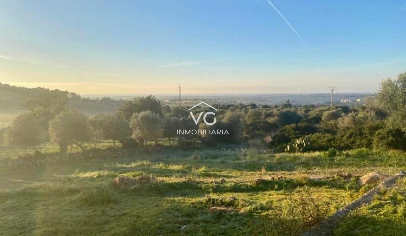 Resale - Plot / Land - Son Servera