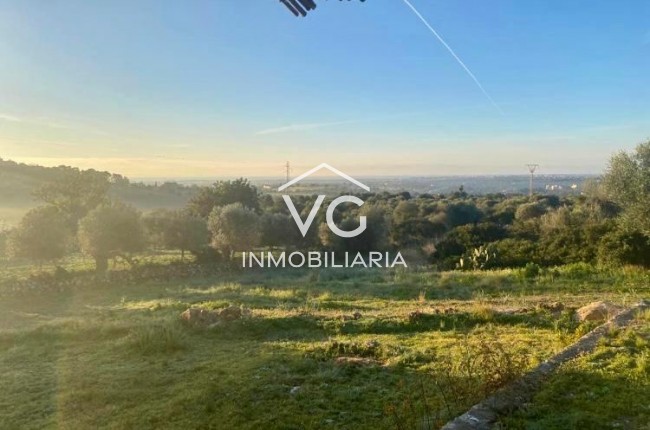 Resale - Plot / Land - Son Servera