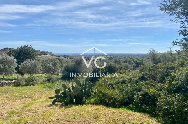 Resale - Plot / Land - Son Servera