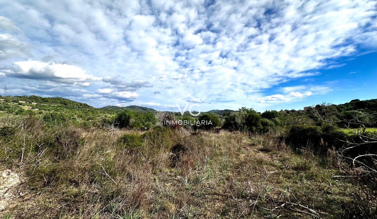 Sale - Plot / Land - Son Servera