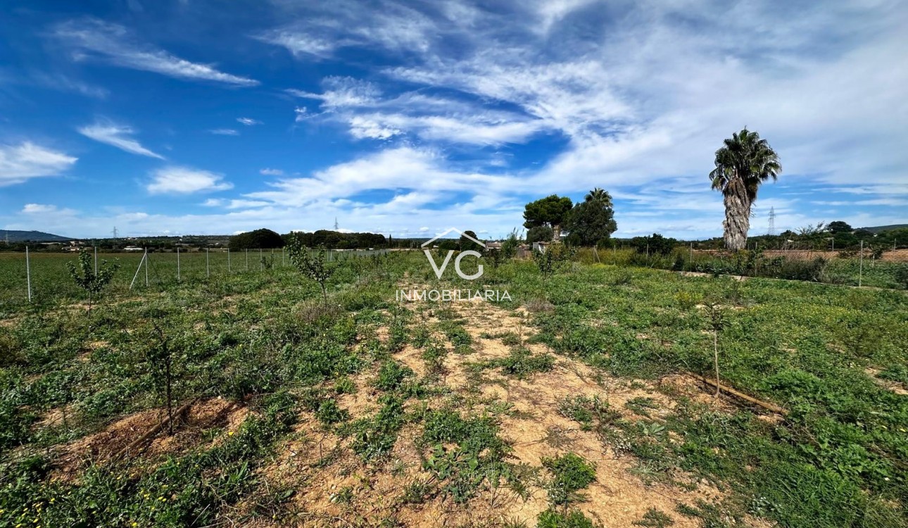 Sale - Plot / Land - Manacor