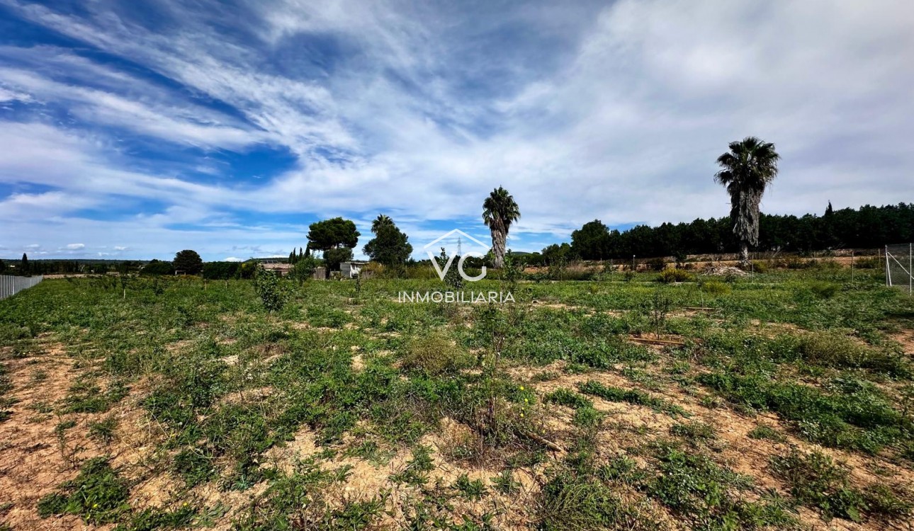 Sale - Plot / Land - Manacor