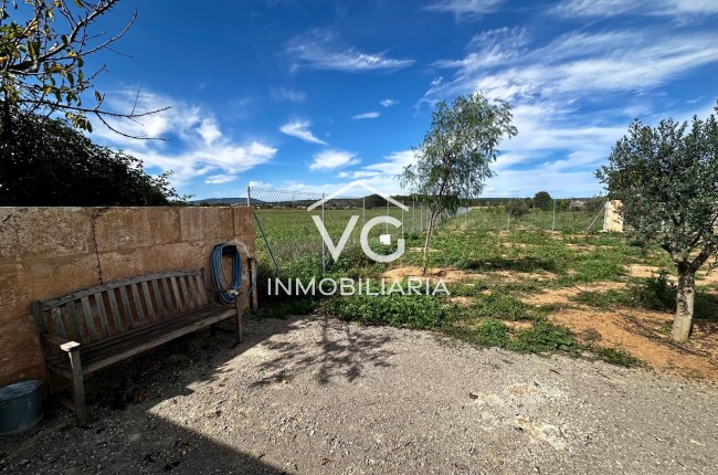 Sale - Plot / Land - Manacor