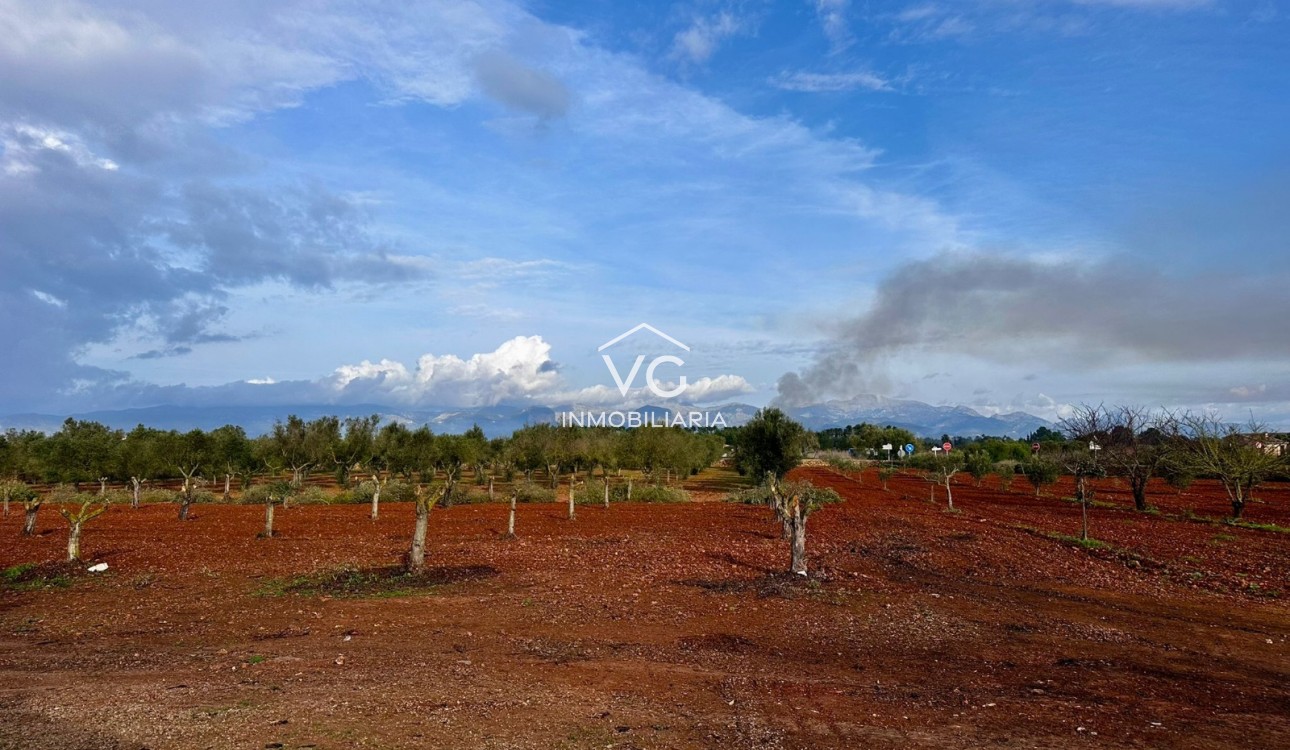 Venta - Finca - Santa Eugenia