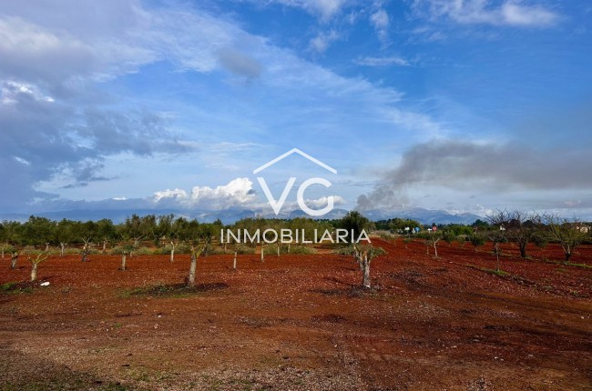 Venta - Finca - Santa Eugenia