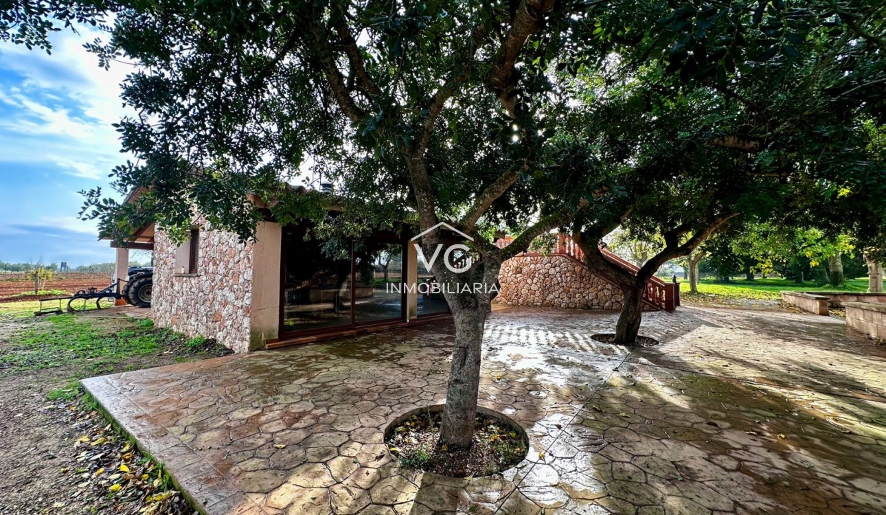 Venta - Finca - Santa Eugenia