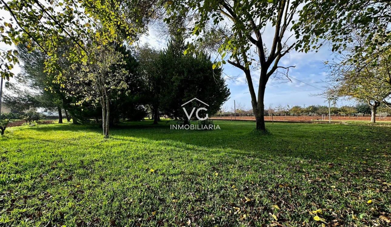 Venta - Finca - Santa Eugenia