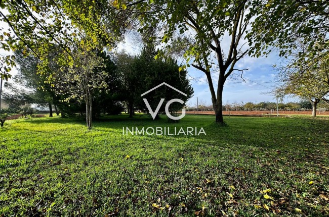 Venta - Finca - Santa Eugenia