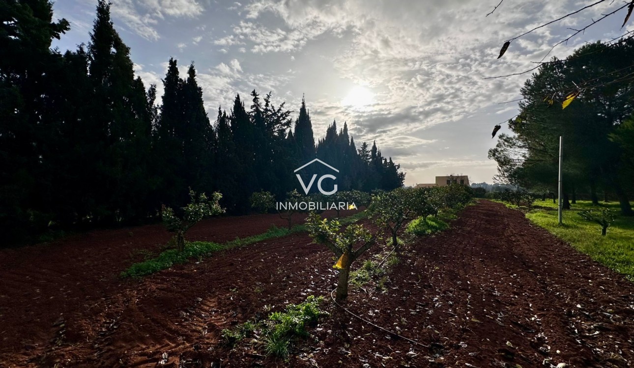 Venta - Finca - Santa Eugenia