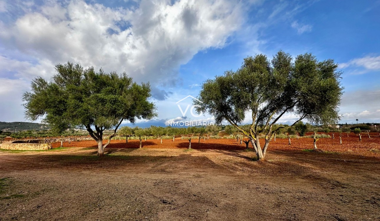 Venta - Finca - Santa Eugenia