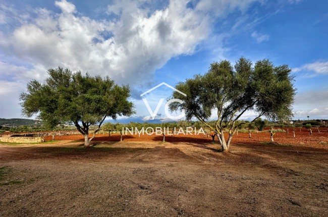 Venta - Finca - Santa Eugenia