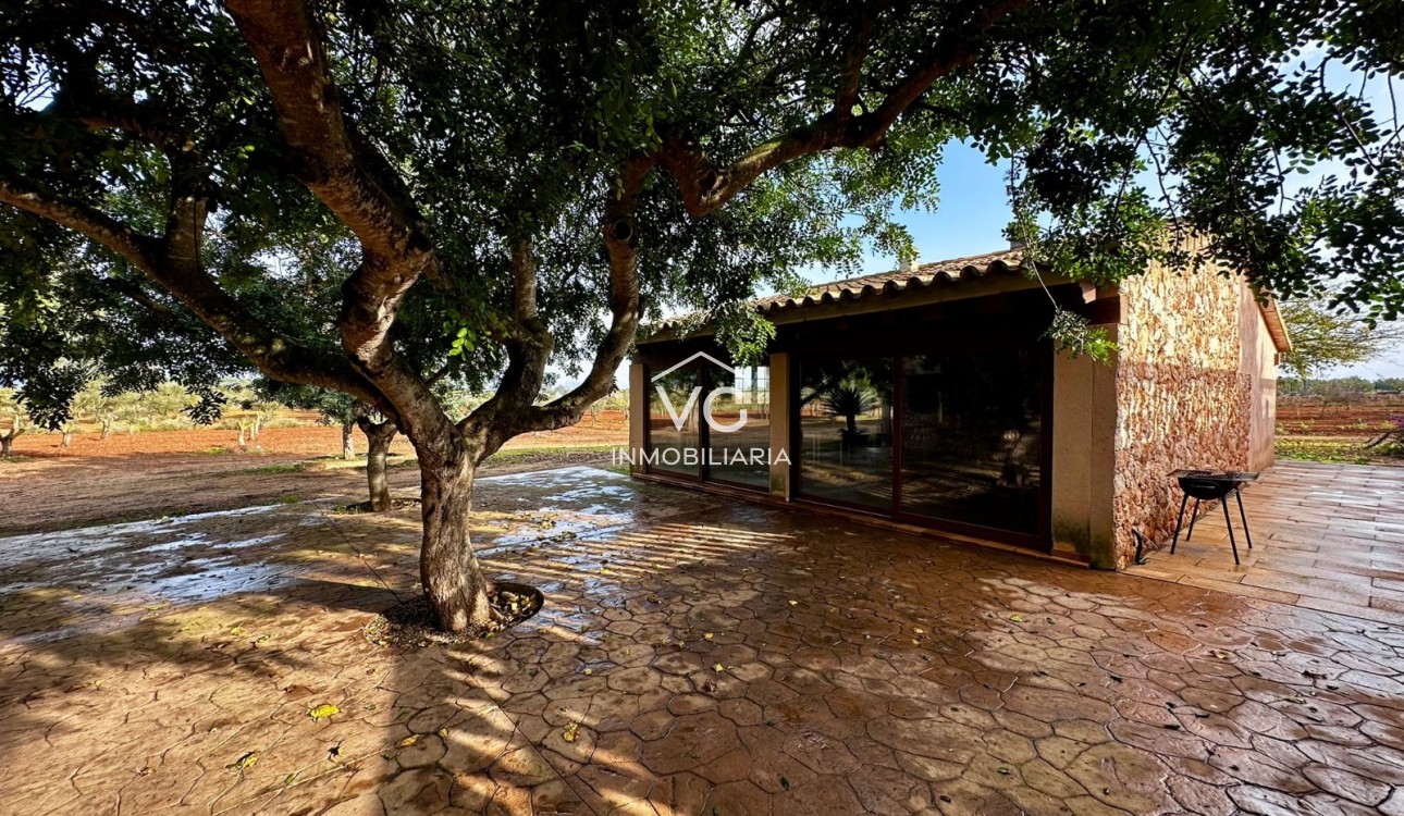 Venta - Finca - Santa Eugenia