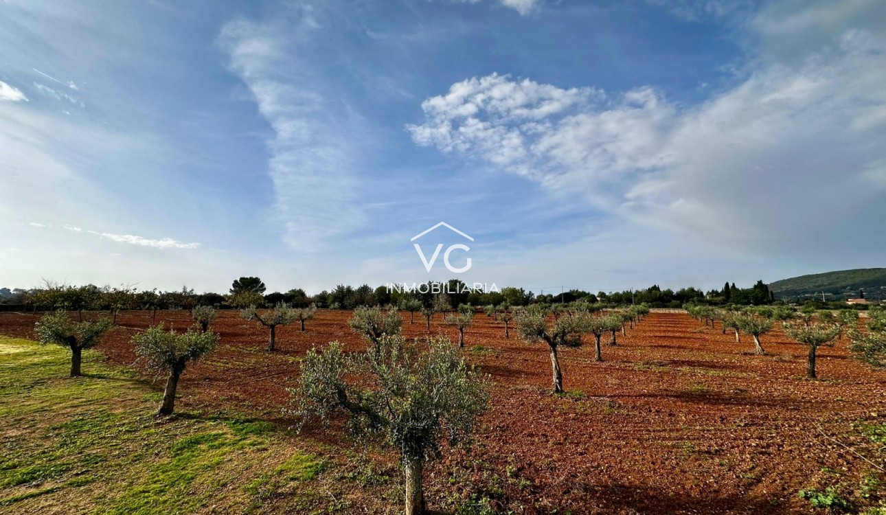 Venta - Finca - Santa Eugenia