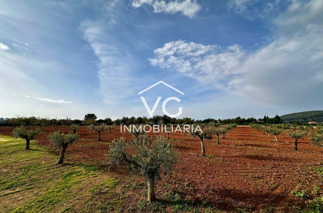 Venta - Finca - Santa Eugenia