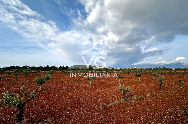 Venta - Finca - Santa Eugenia