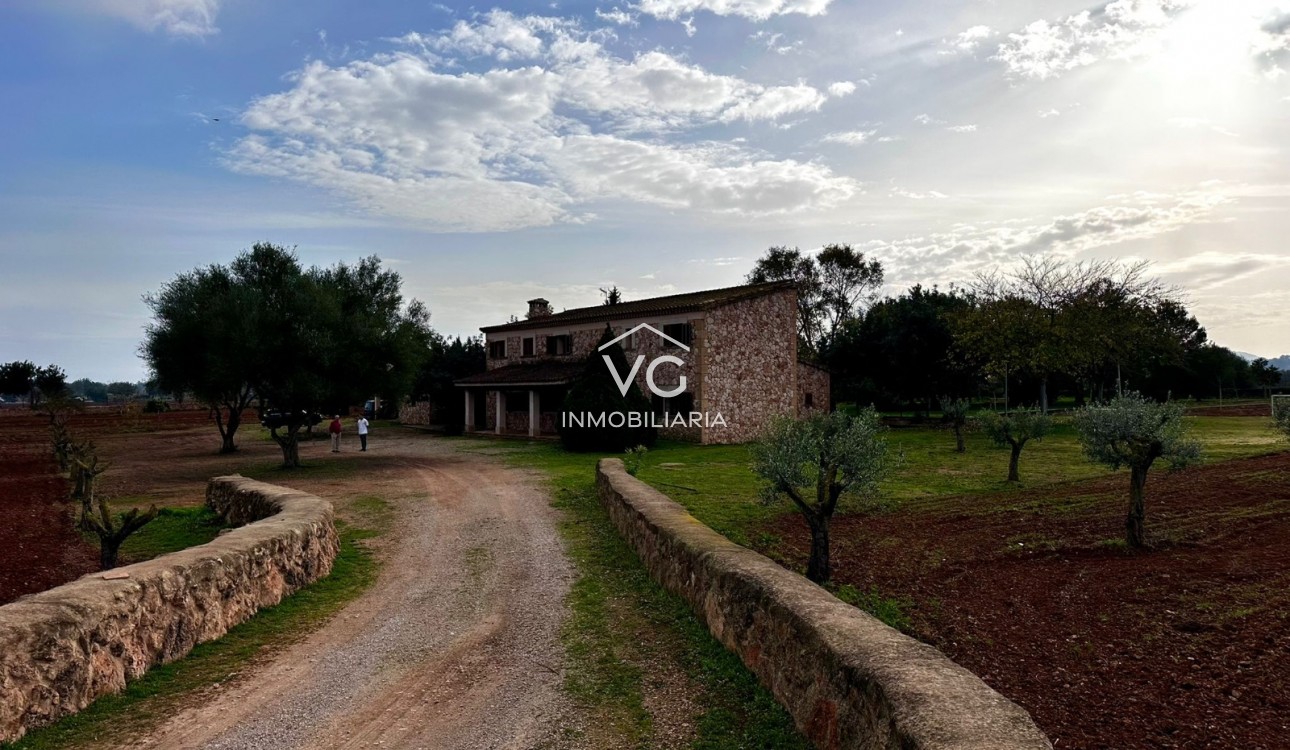 Venta - Finca - Santa Eugenia