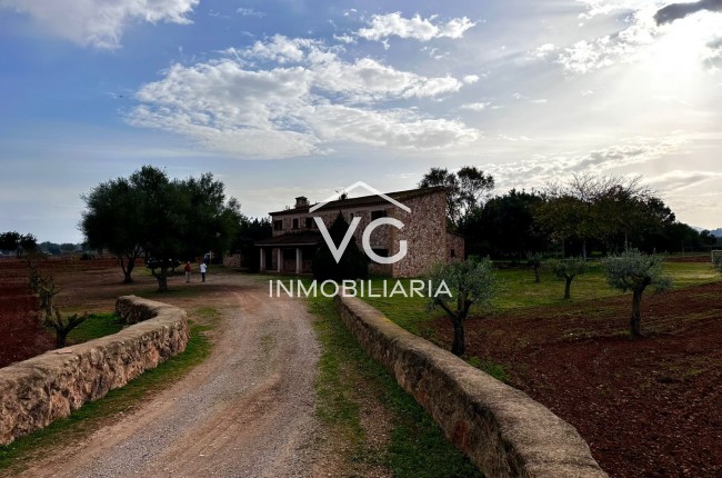 Venta - Finca - Santa Eugenia