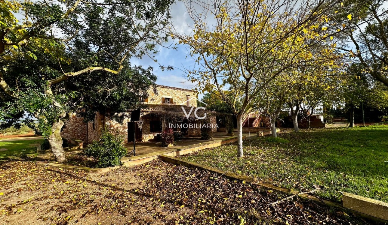 Venta - Finca - Santa Eugenia