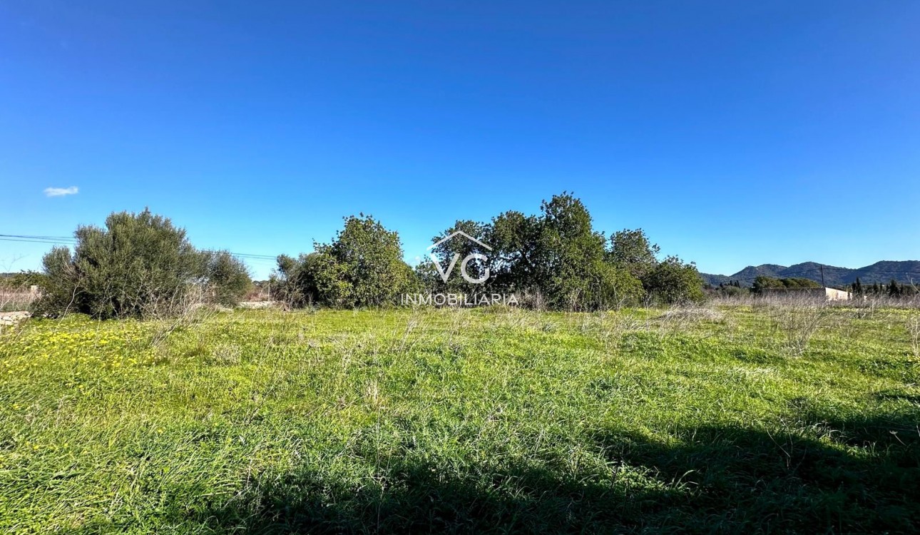 Sale - Plot / Land - Son Servera