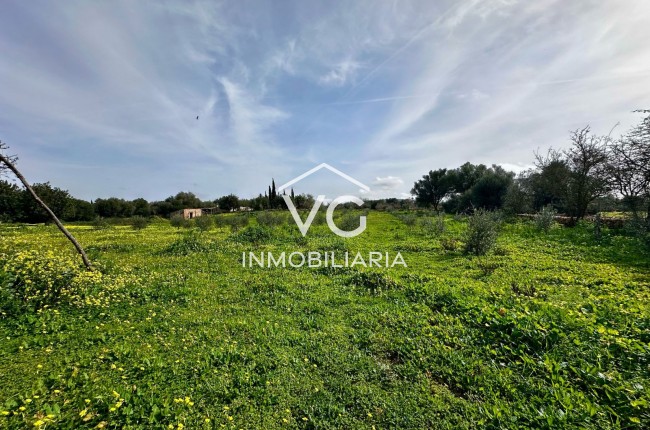 Venta - Terreno - Manacor