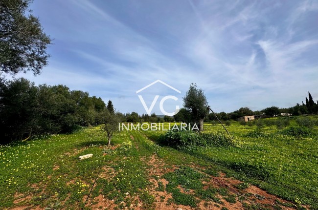 Venta - Terreno - Manacor