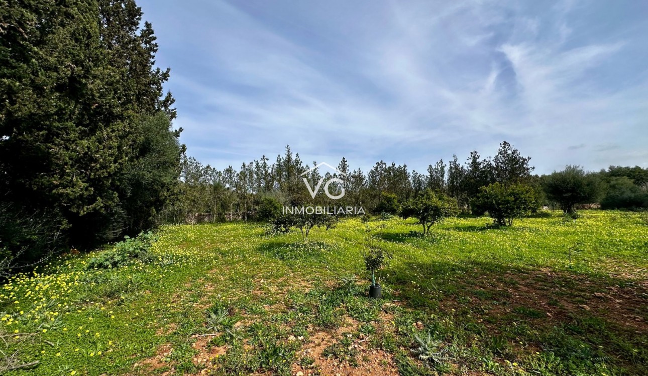 Venta - Terreno - Manacor
