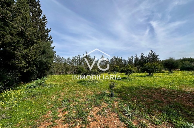 Venta - Terreno - Manacor