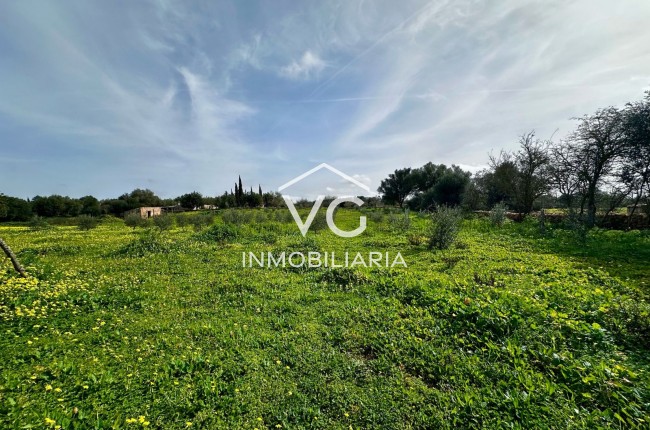 Venta - Terreno - Manacor