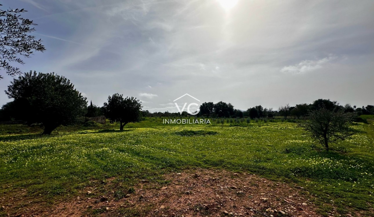 Venta - Terreno - Manacor