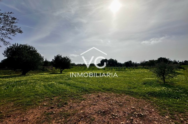 Venta - Terreno - Manacor