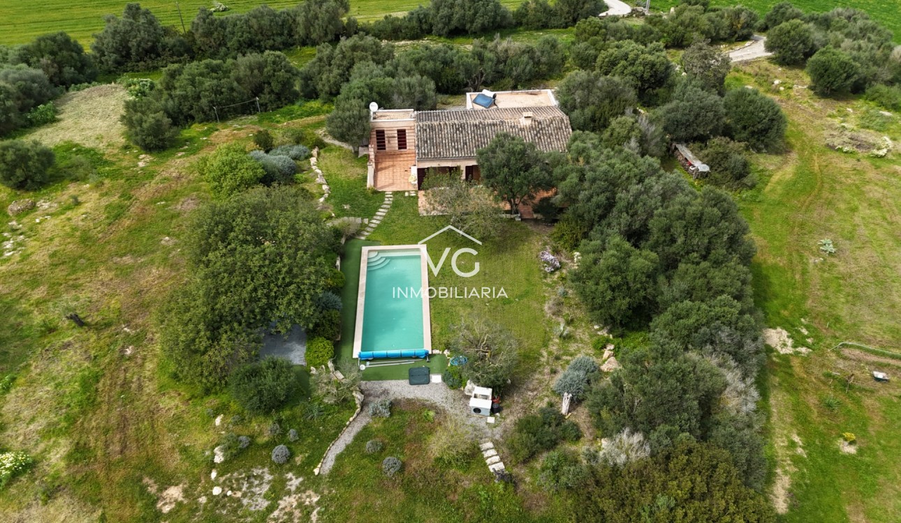 Venta - Casa - Son Macia
