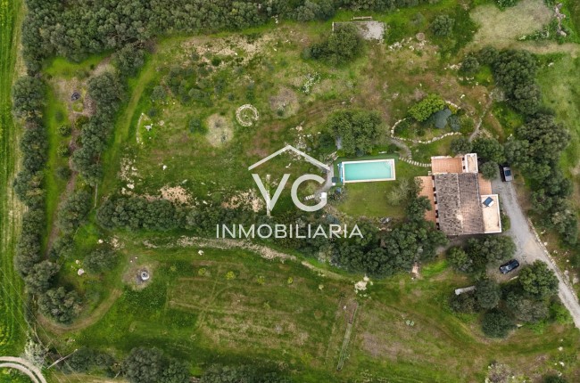 Venta - Casa - Son Macia