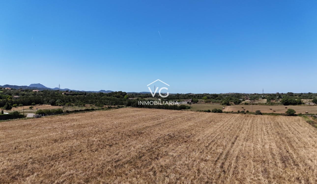 Venta - Terreno - Manacor