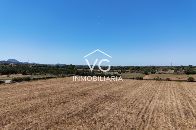 Venta - Terreno - Manacor