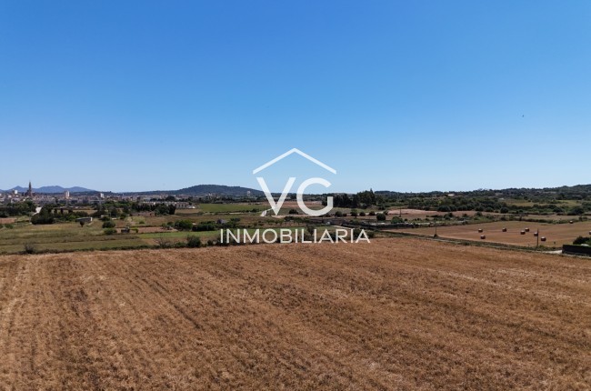 Venta - Terreno - Manacor