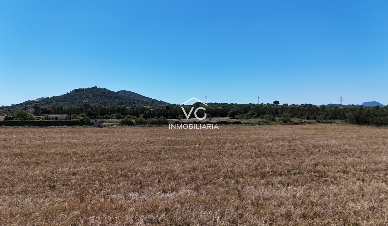 Venta - Terreno - Manacor