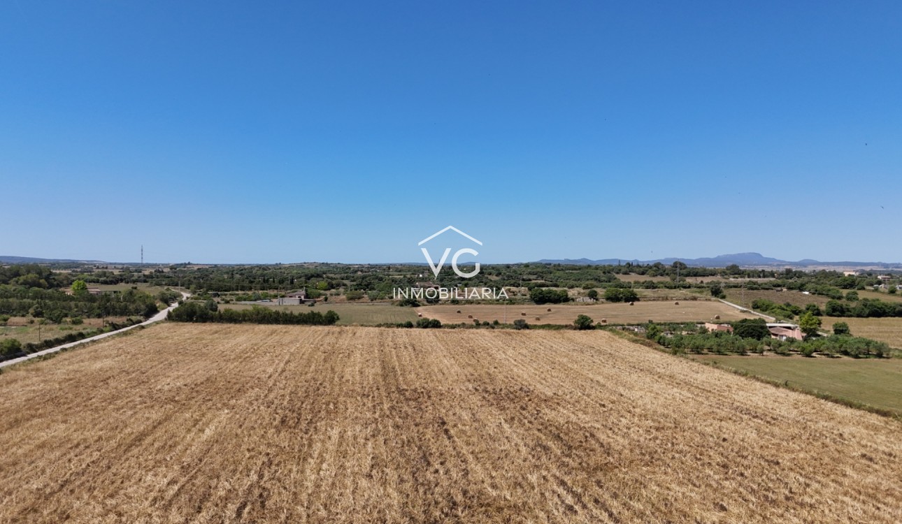 Venta - Terreno - Manacor