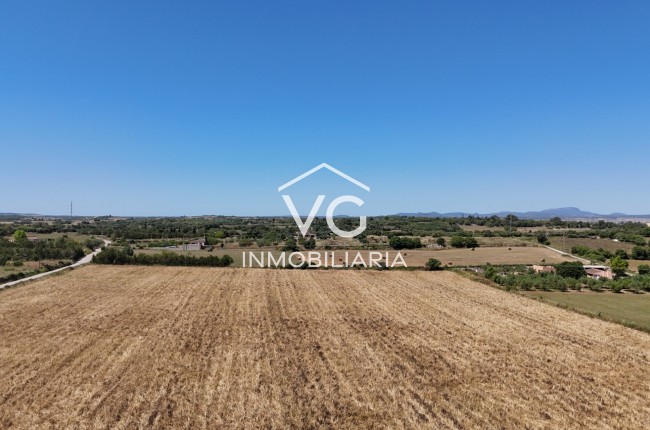 Venta - Terreno - Manacor